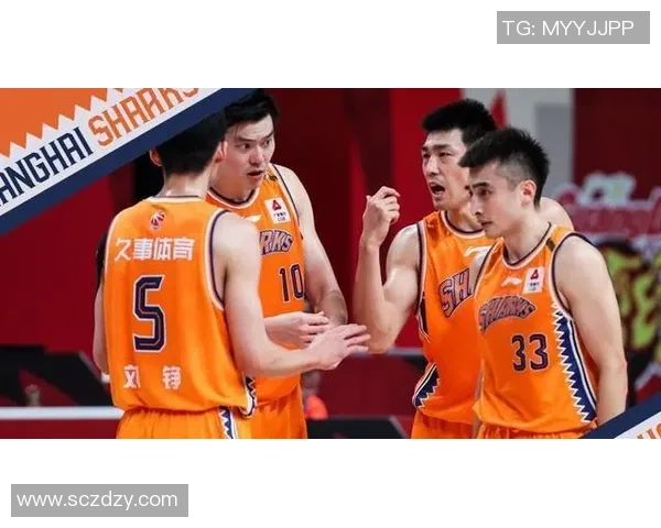 CBA球队青年球员成长路径与培养策略探索与实践分析